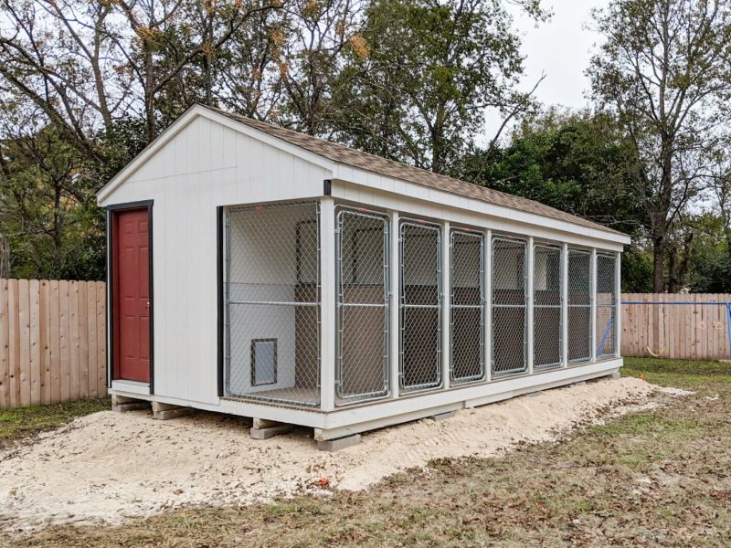 Affordable Boarding For Dogs Near Me