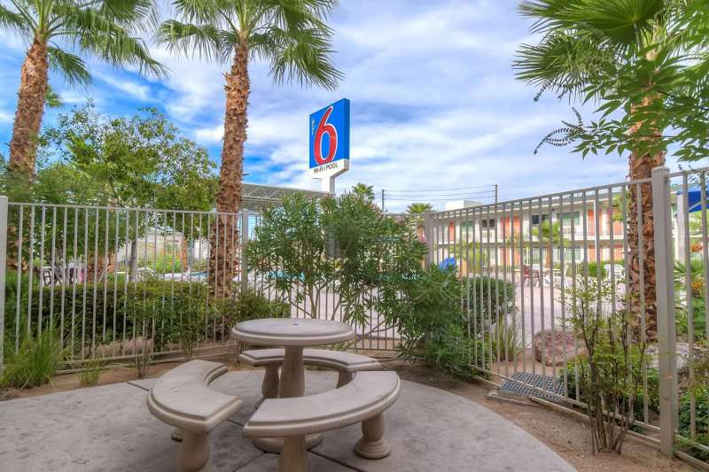 Best Dog Friendly Hotels In Las Vegas