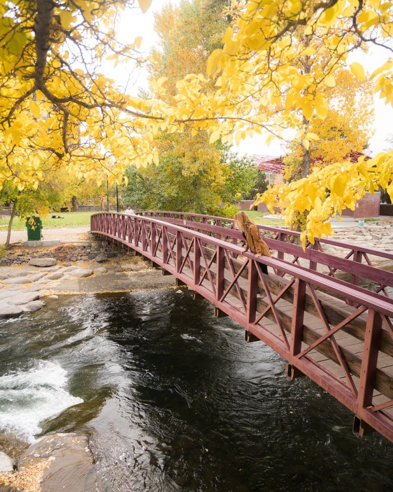 Cheap Flights From Dallas To Reno