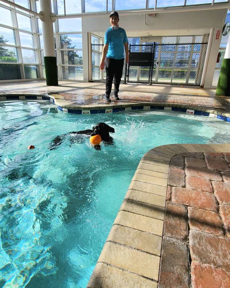 Orlando Pet Boarding Near Disney