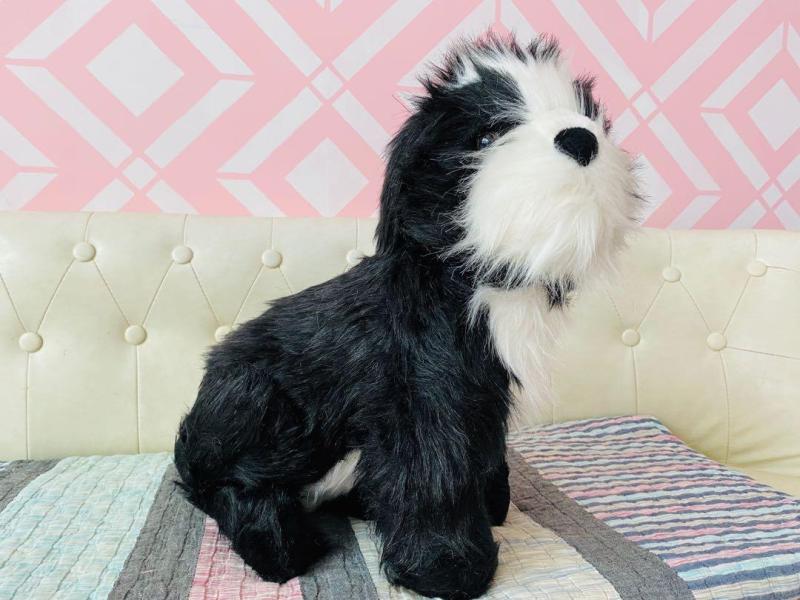 Shih Tzu Stuffed Animal Black And White