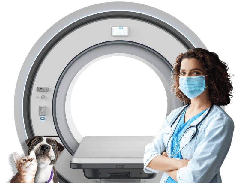 Animal Medical Clinic West Palm Beach Fl
