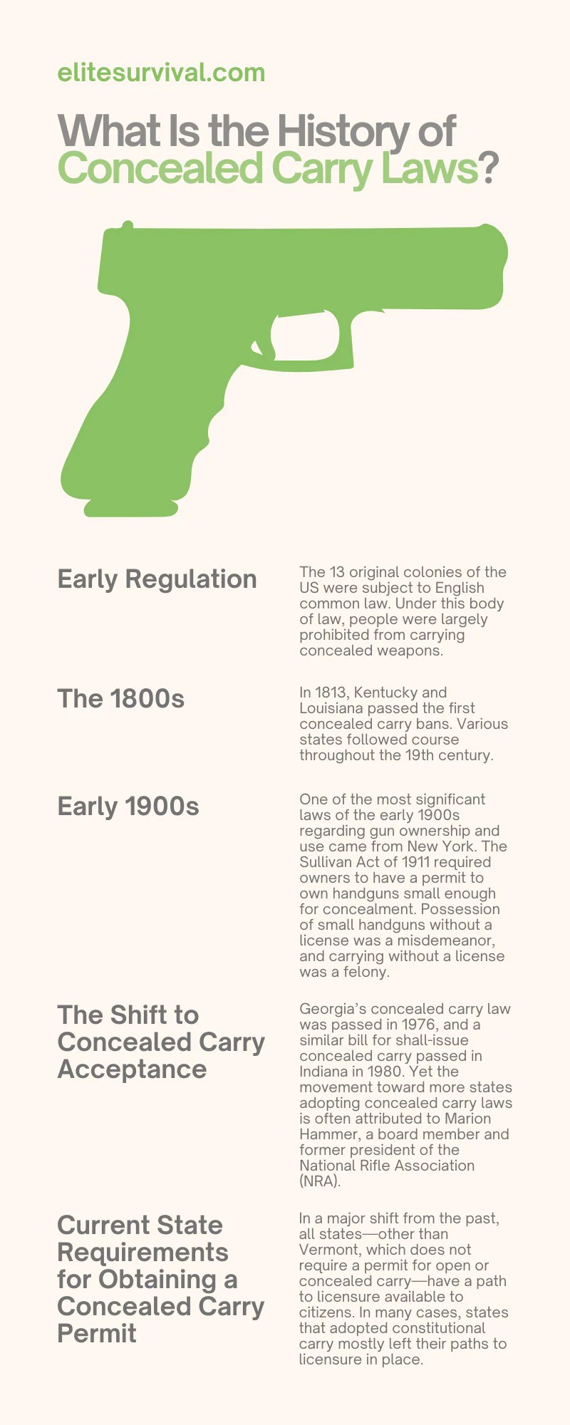 States With Gun Carry Laws