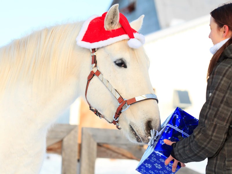 Gifts For Horse Lovers Woman