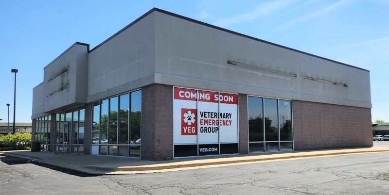 Affordable Urgent Vet Care Near Me